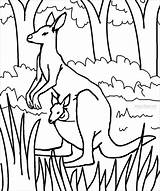 Kangaroo Coloring Pages Baby Cute Kids Printable Color Print Joey Sheets Cool2bkids Animal Coloringbay Face Animals Books Getcolorings Template Choose sketch template