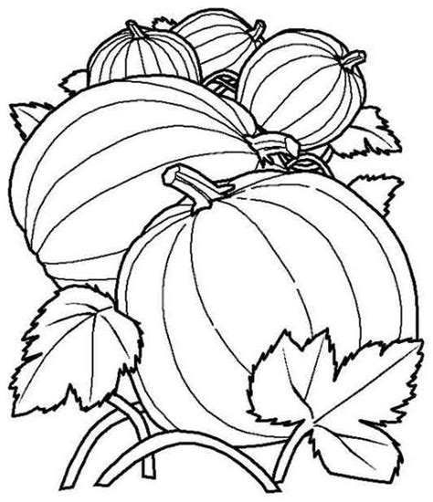 pumpkin patch coloring sheet coloring page pinterest