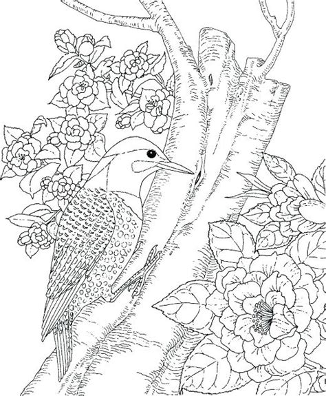 printable nature coloring pages  adults  getdrawings