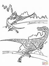 Velociraptor Dinosaur Raptor Jurassic Colorare Dinosaurs Disegni Dinossauro Dinosaurier Dinosaurios Ausmalbild Dinosaure Dibujos Kleurplaat Dinosaurio Supercoloring Dinosauri Ausdrucken Kostenlos Malvorlagen sketch template