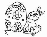 Pascua Pasqua Coniglio Uovo Pintar Conejos Huevos Pascuas Colorare Uova Coniglietto Pasquale Conejo Stampa Colora Decorato Disegnidacolorare sketch template