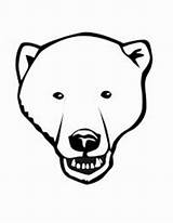 Head Bear Coloring Netart sketch template