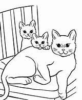 Cat Coloring Pages Printable Cats Cartoon Kitten Sheets Little Print Animals Cute Siamese Color Baby Pet Twi Coloring4free 2021 Animal sketch template