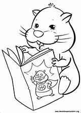 Zhu Coloring Pages Pets sketch template