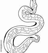 Rattlesnake Diamondback Drawing Coloring Snake Viper Template Paintingvalley sketch template