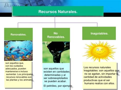 recursos naturales qué son tipos y ejemplos de recursos ecología