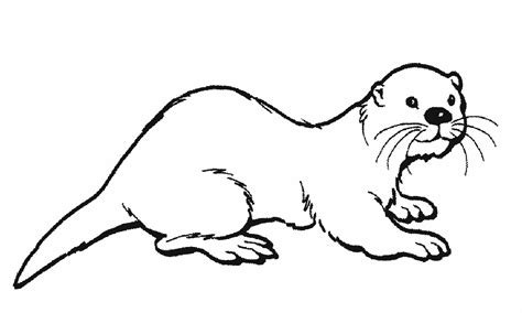 coloring pages  sea otters otter coloring pages picture