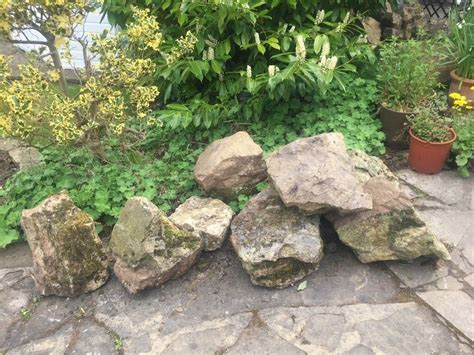 large decorative garden stones  giffnock glasgow gumtree