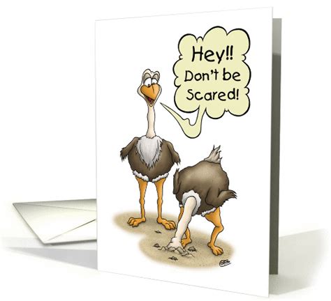 Funny Birthday Scared Ostrich With Head In Sand Don T Be