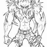 Wolfman Werewolf Getcolorings sketch template