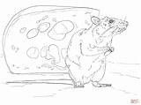Rats Coloringhome sketch template