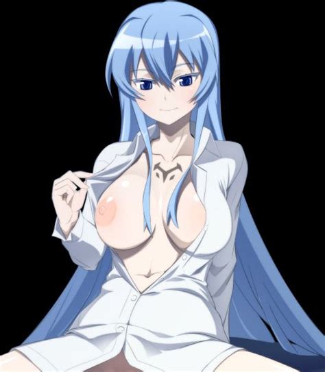 akame ga kill esdeath or esdese 23 hentai pictures pictures tag akame ga kill sorted