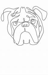 Bulldog Getdrawings Webstockreview sketch template