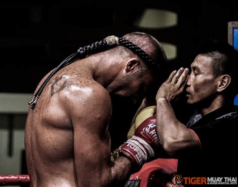 fighting thai tiger muay thai and mma training camp guest fights