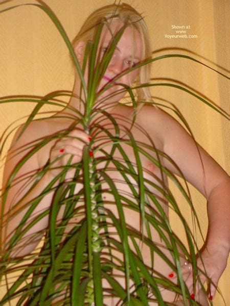 naked tania january 2005 voyeur web