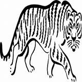 Tiger Coloring Pages Surfnetkids sketch template