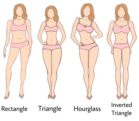 Fat Inverted Triangle Body Herbs And Food Recipes
