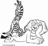 Madagascar Marty Colorir Kolorowanka Madagaskar Disney Kolorowanki Leão Amigos Floresta Melhore Conversando Tudodesenhos Leao sketch template