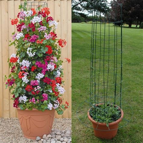 amazing vertical garden ideas  climbing plants  pots  art