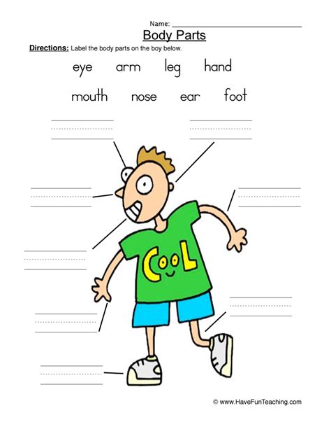 body parts worksheet  kids pin  body worksheets