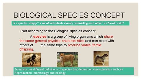 species speciation  amy heeraman form  biology