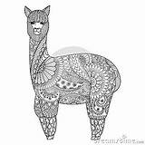 Zentangle Adult Coloring Alpaca Shirt Book Logo So Stock Vector sketch template