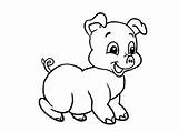 Pig Coloring Baby Laughing Pigs Pages Kids Recent Searches sketch template