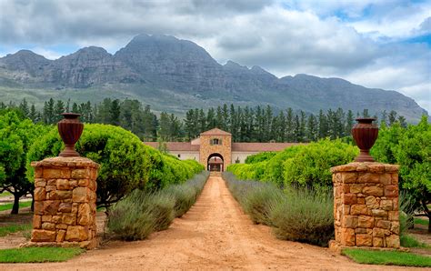 winelands   western cape south africa onstandby
