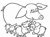 Baby Pig Pages Coloring Cute Pigs Drawing Suitcase Piglet Printable Getcolorings Color Getdrawings Print sketch template