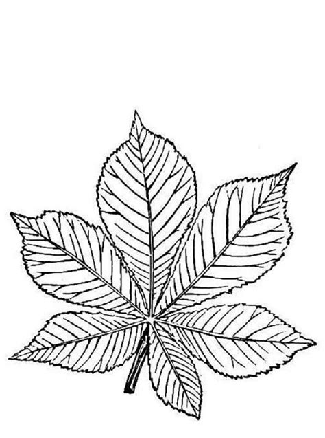 kids  funcom  coloring pages  trees  leaves
