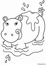 Nijlpaarden Kleurplaat Kleurplaten sketch template