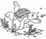Coloring Turtle Pages Printable Sea Turtles Baby Filminspector Colouring Franklin Clipart Printables Views Popular Visit Kids Coloringhome Library Comments sketch template