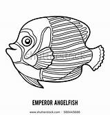 Emperor Coloring Angelfish Butterflyfish Book Fish Illustrations Designlooter Vector Children 470px 4kb Clip sketch template