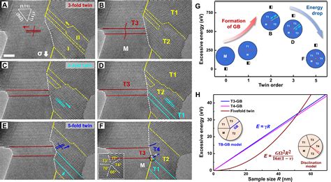 hierarchical twinning governed  defective twin boundary  metallic
