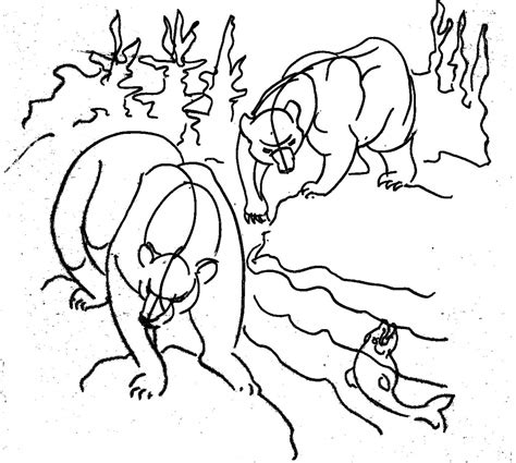 bear coloring pages photo animal place