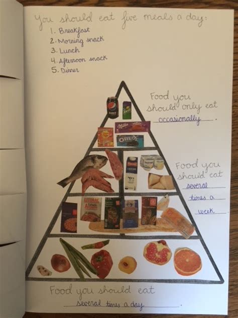 proyecto bilinguee  food pyramid   grade