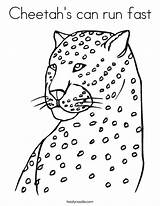 Coloring Cheetah Fast Run Leopards Cheetahs Print Twistynoodle Ll Favorites Login Add Noodle sketch template