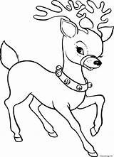Coloring Renne Merry Deer Femelle Gratuit Nosed Rudolph Becuo Sketch sketch template