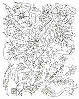 Coloring Pages Weed Adult Marijuana Stoner Stencil Leaf Printable Plant Drawing Hemp Books Pot Print Color Trippy Tattoo Jane Mary sketch template