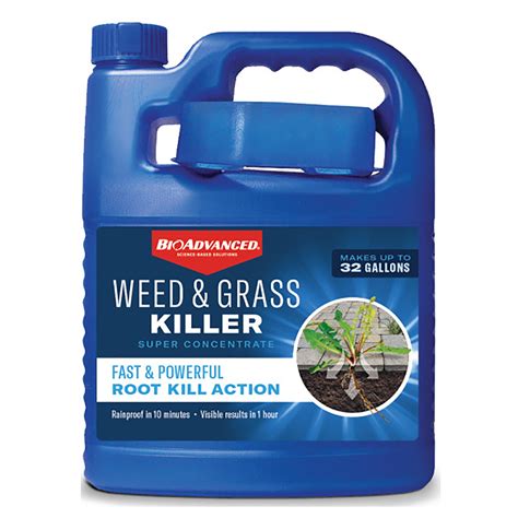 Buy Bioadvanced 704196a Super Concentrated Weed And Grass Killer