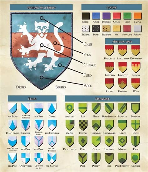 anatomy   shield heraldry design coat  arms heraldry