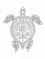 Tortue Turtle Adulte Colorear Carnet Marine Omeletozeu Dover Publications sketch template