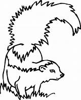 Skunk Coloring Pages Printable Books Categories Similar sketch template