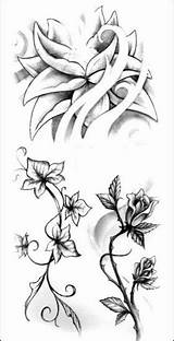 Fiori Tatuaggi Floreali Passionetattoo sketch template