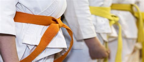 Top Karate Classes In Sharjah Gulf Tiger Oasis And More Mybayut