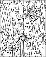 Coloring Pages Bamboo Butterfly Butterflies Dover Publications Adult Printable Colouring Color Adults Doverpublications Book Welcome Ru Template Glass Bambou Getdrawings sketch template