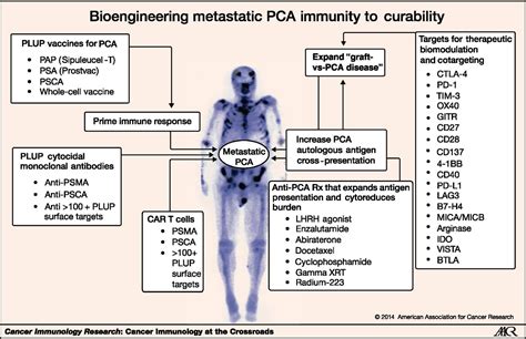 prostate cancer immunotherapy beyond immunity to