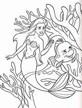 Disney Coloring Pages Princess Ariel Walt Flounder Characters Fanpop Sheets Kids Mermaid Little sketch template