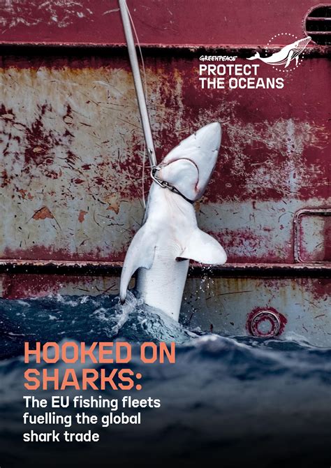 hooked  sharks  eu fishing fleets fuelling  global shark
