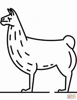 Coloring Llama Pages Printable Drawing sketch template
